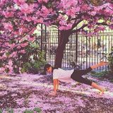 Mit diesem Blütentraum-Motiv lädt Hilaria zur Charity-Yogastunde ein.