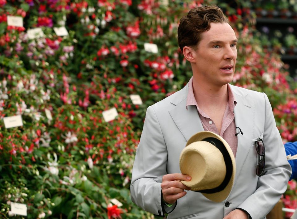 Auch Benedict Cumberbatch sieht sich die farbenprächtigen Blumen an. Auch Benedict Cumberbatch sieht sich die farbenprächtigen Blumen an.