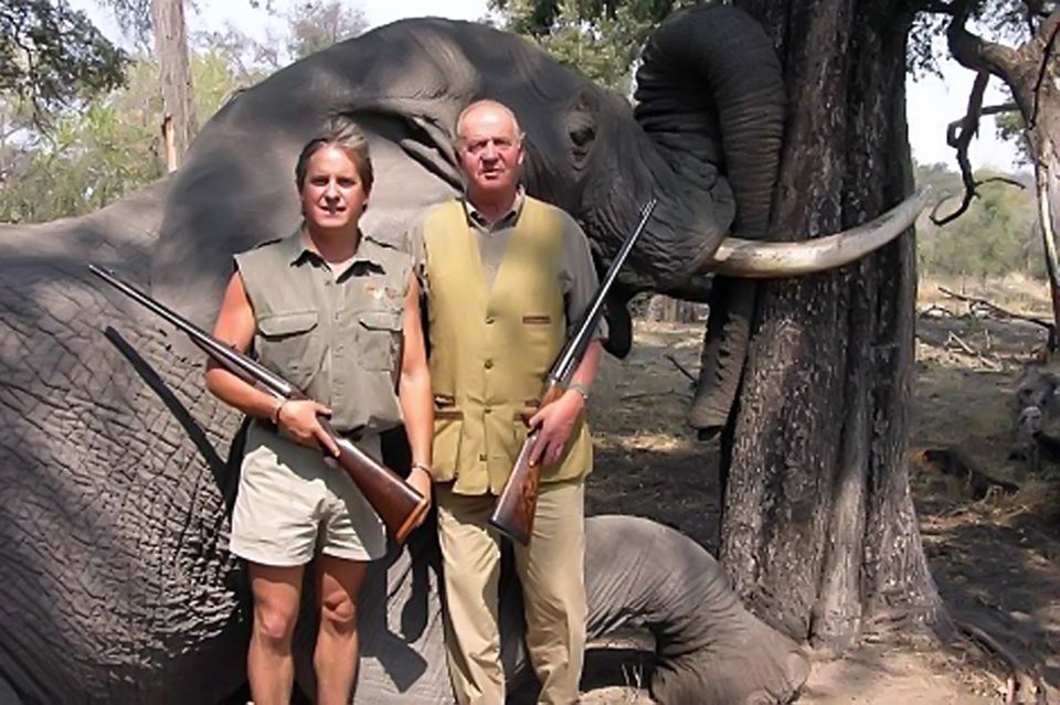 2012  In den letzten Jahren wurde König Juan Carlos immer unbeliebter. Er wird für einen Jagdausflug in Botswana im April 2012 heftig kritisiert - dort posiert er vor einem erschossenen Elefanten. Anstößig findet man die Safari nicht nur, weil der König Präsident des Tierschutzbundes WWF ist - ein Amt, das er anschließend verliert. Die spanische Presse empört sich auch wegen der hohen Kosten von rund 44.000 Euro, die der Privatausflug verursacht hat.