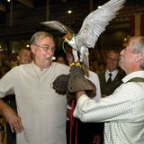 2006  Bei der Eröffnung der Jagdhorn-Meisterschaft im dänischen Horsens macht Prinz Henrik die nähere Bekanntschaft eines Jagdfalkens. Seine Dackel dürften wohl weniger flatterhaft sein.