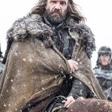 Rory McCann als "Sandor, The Hound, Clegane"