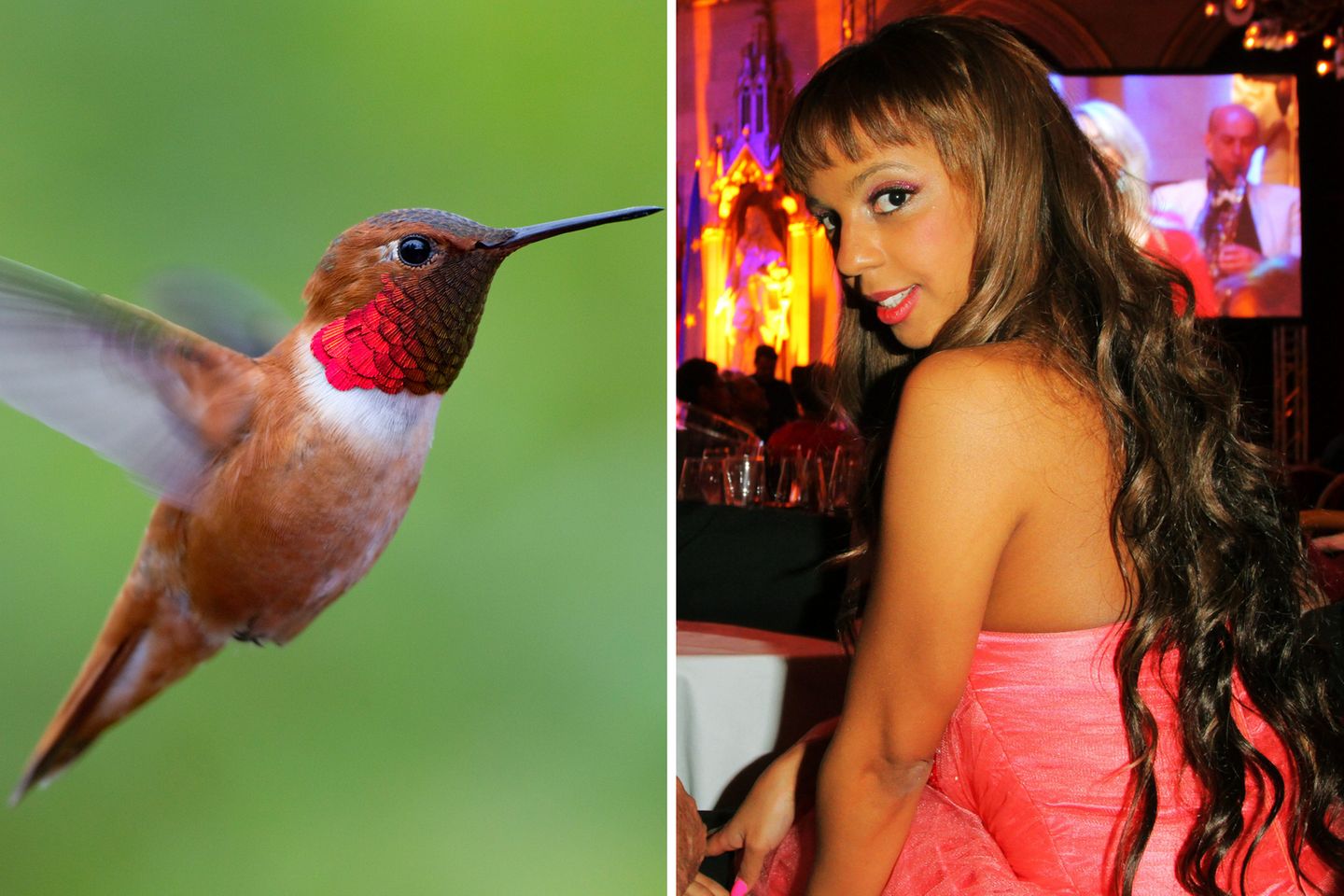 Kolibri  Für Bahati Venus ist denkt sich der Baulöwe den tierischen Spitznamen "Kolibri" aus. Sie flattert ihm nach knapp fünf Monaten davon.