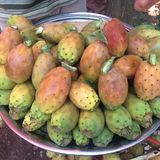 Diese exotischen Früchte postet Sila Sahin auf Instagram.
