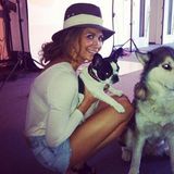09. Februar 2013: Nicht nur ihre Hunde trägt sie gerne, auch knappe Jeans-Shorts sieht man an Mandy Capristo regelmäßig.