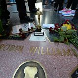 11. August 2014: Fans trauern auf dem Walk Of Fame in Hollywood um den Schauspieler. Robin Williams wurde am Mittag tot in seinem Haus bei San Francisco aufgefunden. Die Polizei geht von Suizid aus. Ein Sprecher bestätigt, dass der 63-Jährige seit geraumer Zeit unter Depressionen gelitten hatte.