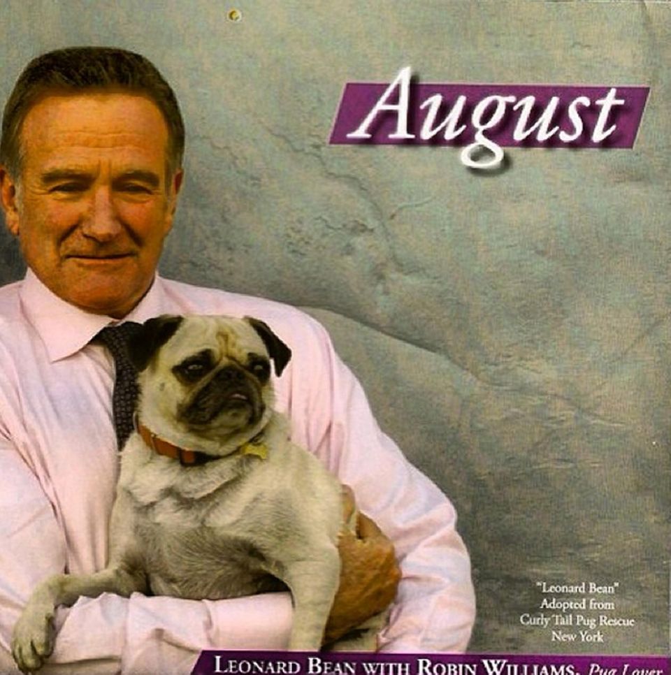 Mit Leonard posiert Robin Williams für einen Kalender der Tierrettungs-Organisation "Tony La Russa's Animal Rescue Foundation". Mit Leonard posiert Robin Williams für einen Kalender der Tierrettungs-Organisation "Tony La Russa's Animal Rescue Foundation".