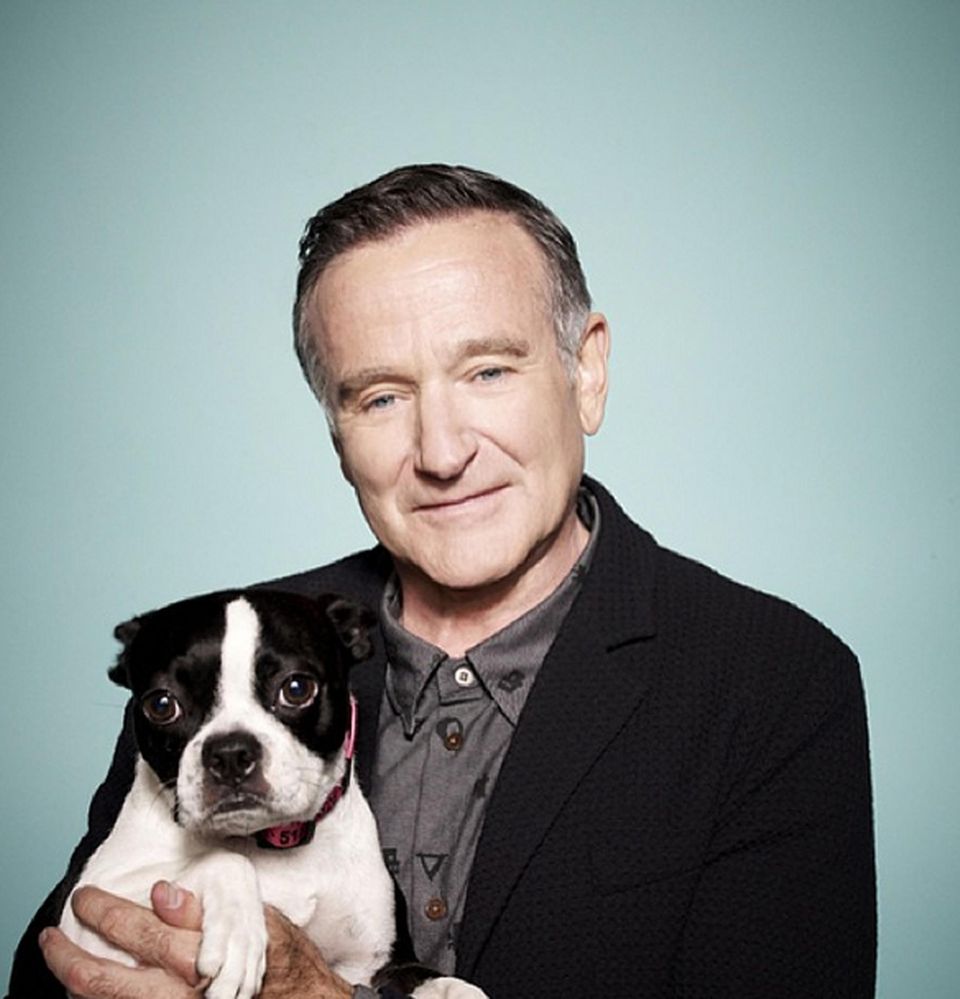 Nicht nur Leonard liegt Robin Williams am Herzen. Mit diesem Bild trauert er um den verstorbenen Hund seiner Assistentin, der ihm an Sets immer Gesellschaft geleistet hat. Nicht nur Leonard liegt Robin Williams am Herzen. Mit diesem Bild trauert er um den verstorbenen Hund seiner Assistentin, der ihm an Sets immer Gesellschaft geleistet hat.