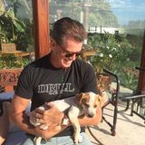 Pierce Brosnan begrüßt ein neues Familienmitglied "Sage".