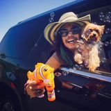 Auf Twitter teilt Steven Tyler ein Foto von sich mit Hund, Zigarre und Seifenblasenpistole und schreibt dazu: "Es ist der erste Tag vom Rest deines Lebens, vergiss nicht heute Spaß zu haben."