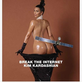 Auch tagesaktuelle Themen eignen sich, um Kims Cover auf die Schippe zu nehmen. Hier landet die Sonde "Rosetta" auf Kims Hintern.