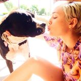 Das perfekte Skandal-Duo: Für einen All-Over-Print ließ sich Miley Cyrus vom kontroversen Oben-Ohne-Outfit der Rüpel-Rapperin Lil' Kim inspirieren, das sie 1999 bei den VMAs trug. Skeptische Blicke für den damit bedruckten Pullover erhält sie sogar von ihrem Hund.
