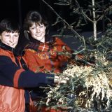 1985  Prinzessin Märtha Louise und ihr Bruder Prinz Haakon, die beiden Kinder von Kronprinz Harald von Norwegen, haben einen Weihnachtsbaum gefällt. Ob er wohl später auch in ihrer Residenz Skaugum geschmückt wird?