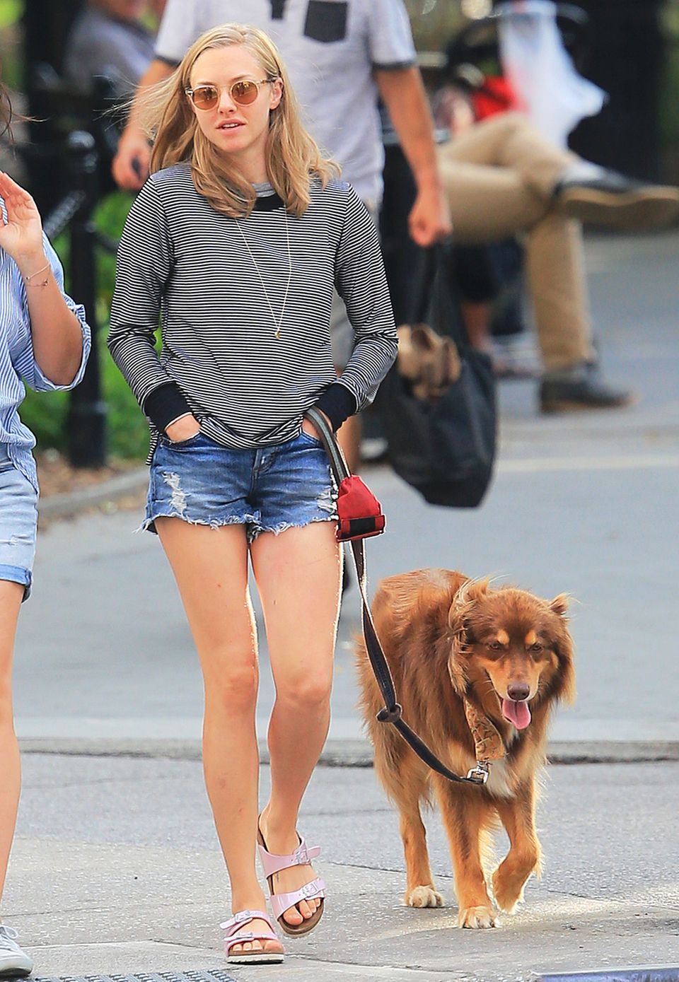 Auch wenn es Hund Finn vermutlich ziemlich egal ist, wie sein Frauchen aussieht, trägt Amanda Seyfried beim Gassigehen eine tolle Kombination aus Jeans-Shorts und gestreiftem Sweatshirt.