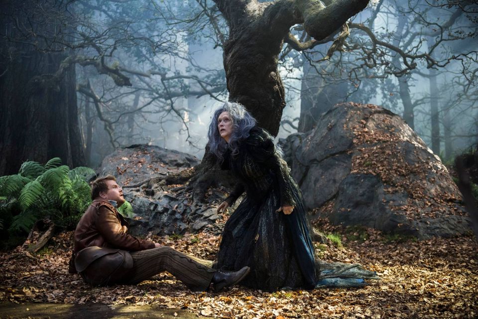 Fantasy - "Into the Woods"  Auch hier stellt Kostümbildnerin Colleen Atwood ihren Ideenreichtum unter Beweis: Für Rob Marshalls Film griff sie tief in die Märchenkiste, ohne dabei in Klischees zu verfallen. Der böse Wolf (Johnny Depp) wirkt im grau melierten Anzug wie ein Dandy, und Cinderella (Anna Kendrick) versprüht in einer goldenen Seidenlamé-Robe viel Hollywood-Glamour. Atwoods Geniestreich ist jedoch die böse Hexe (Meryl Streep). In einer imposanten düsteren Robe aus Seidenchiffon wirbelt sie durch die Fantasy-Welt.