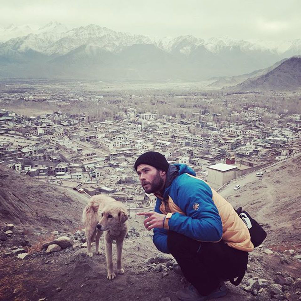 12. Februar 2016  "Mein Himalaja-Führer wird mich zur Spitze führen, 3700 Meter über dem Meeresspiegel!", schreibt Chris Hemsworth zu dem Bild mit einem Hund im Himalaja-Gebirge.