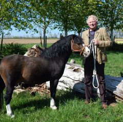 Der hessische Cowboy Gregor, 66, betreibt einen Ackerbau- und Pferdepensionsbetrieb.    Alle Infos zu "Bauer sucht Frau'" im Special bei RTL.de: www.rtl.de/cms/sendungen/bauer-sucht-frau.html
