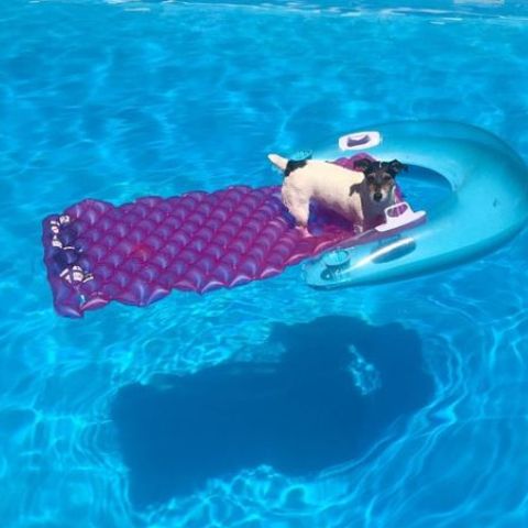 Heiß: Audrey Versace gönnt sich eine Erfrischung im Pool.