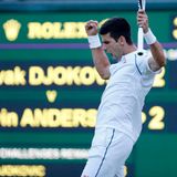 Novak Djokovic gewinnt sein Match gegen Kevin Anderson.