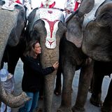 Prinzessin Stéphanie ist fasziniert von besonders großen Tieren - und setzt sich für sie ein. Einer ihrer Ex-Freunde war Elefanten-Trainer im Zirkus, daher dürfte die Vorliebe für die Dickhäuter stammen.