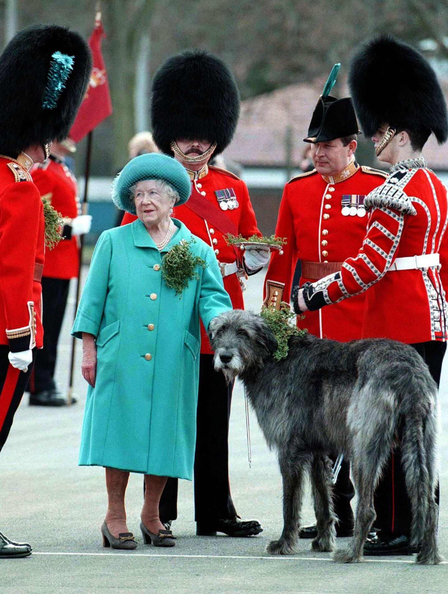Queen Mum begegnet am St. Patricks Day 1997 einem großen Wolfshund. Das Überreichen des Kleestraußes an die Irish Guards hat inzwischen Herzogin Catherine übernommen, die in High Heels den Hund auch deutlich mehr überragt ...
