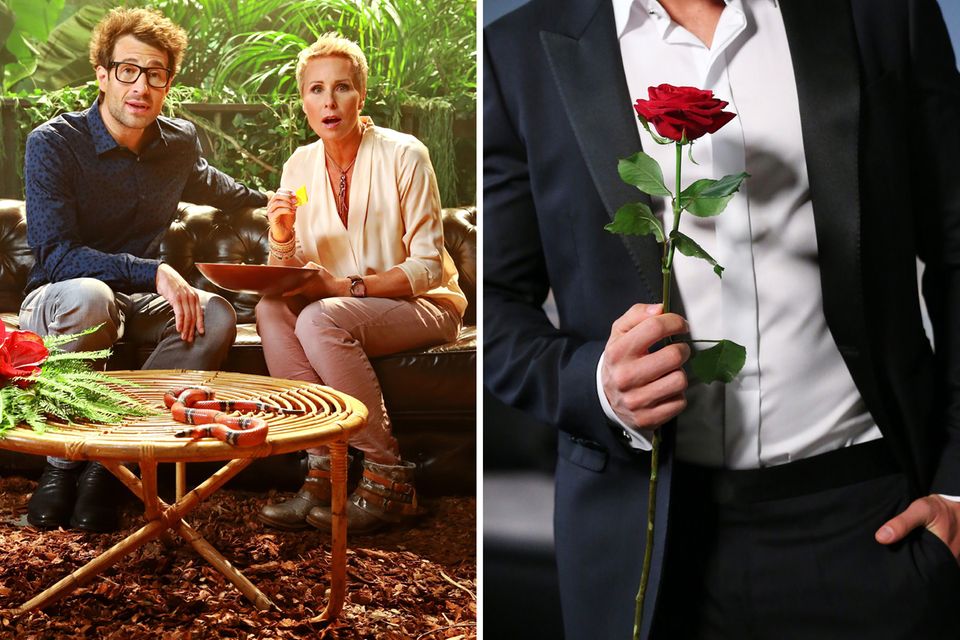 Rtl will auch weiterhin nicht auf seine Erfolgsformate "Ich bin ein Star - Holt mich hier raus!" und "Der Bachelor" verzichten. Durch die Ekelprüfungen dürfen wie gehabt Daniel Hartwich und Sonja Zietlow führen. Rtl will auch weiterhin nicht auf seine Erfolgsformate "Ich bin ein Star - Holt mich hier raus!" und "Der Bachelor" verzichten. Durch die Ekelprüfungen dürfen wie gehabt Daniel Hartwich und Sonja Zietlow führen.