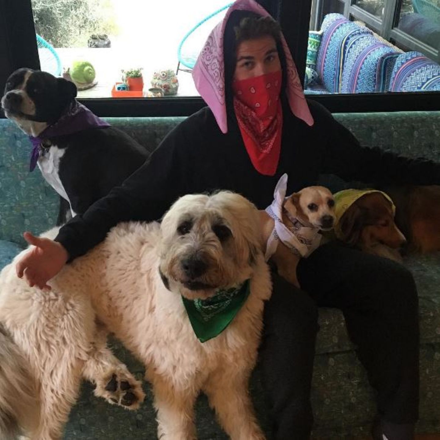 Oktober 2016   Es ist nicht einfach nur ein tolles Foto vom Liam Hemsworth, eingerahmt mit seinen Hunden. Der Schauspieler macht gleichzeitig auf eine Aktion aufmerksam. Mit Kauf dieser Tücher unterstützt er in Australien junge Leute, die an Krebs erkrankt sind oder ein Familienmitglied an Krebs leidet.