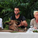 Tag 1 Kamelhirn ist nicht gerade die Lieblingsspeise von David Ortega, der zwischen Jenny Elvers und Brigitte Nielsen sitzt.