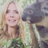Bei den Dreharbeiten zu GNTM geht Heidi Klum mit Koalabär Harry auf Tuchfühlung.
