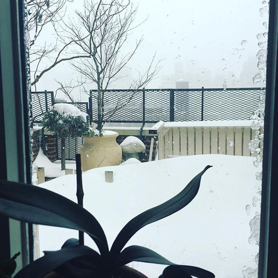Auch Susan Sarandon hat eine weiße Aussicht.