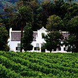sudeafrika, weingut, kapstadt, neethlingshof