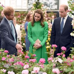 Prinz Harry, Herzogin Catherine und Prinz William nehmen die 4,5 Hektar große Ausstellungsfläche genauestens unter die Lupe.
