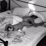 Für dieses freizügige Bild samt Hund im Bett erntet Heidi Klum einen Shitstorm. Trotz der nackten Haut scheinen nicht wenige Fans davon eher angewidert als begeistert zu sein. Viele sind der Meinung, dass Hunde im Bett nichts zu suchen haben.