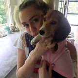 Miley Cyrus und ihr Hund Barbie senden Feiertags-Grüße via Twitter.