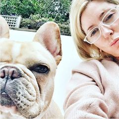 Star, die fränzösische Bulldogge, gehört zur Kronprinzenfamilie und wird bei Instagram natürlich in allen Lebenslagen in Szene gesetzt.