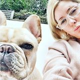 Star, die fränzösische Bulldogge, gehört zur Kronprinzenfamilie und wird bei Instagram natürlich in allen Lebenslagen in Szene gesetzt.