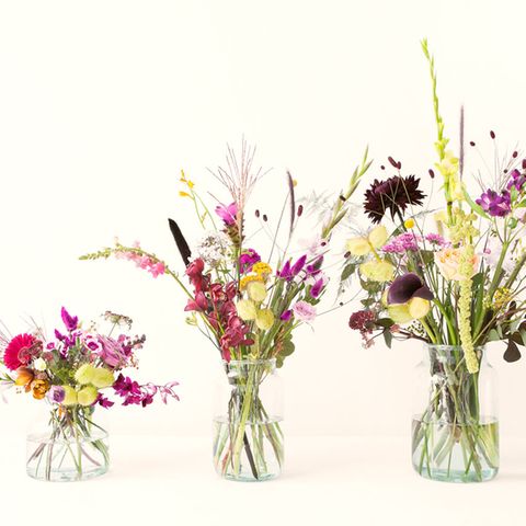 Blumen konservieren: So geht's