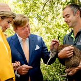 Tag 2 Neuseeland  Königin Maxima sieht man die Entzückung an, ihr Mann König Willem-Alexander traut sich sogar den Nationalvogel der Neuseeländer, dem Kiwi über den Kopf zu streicheln.