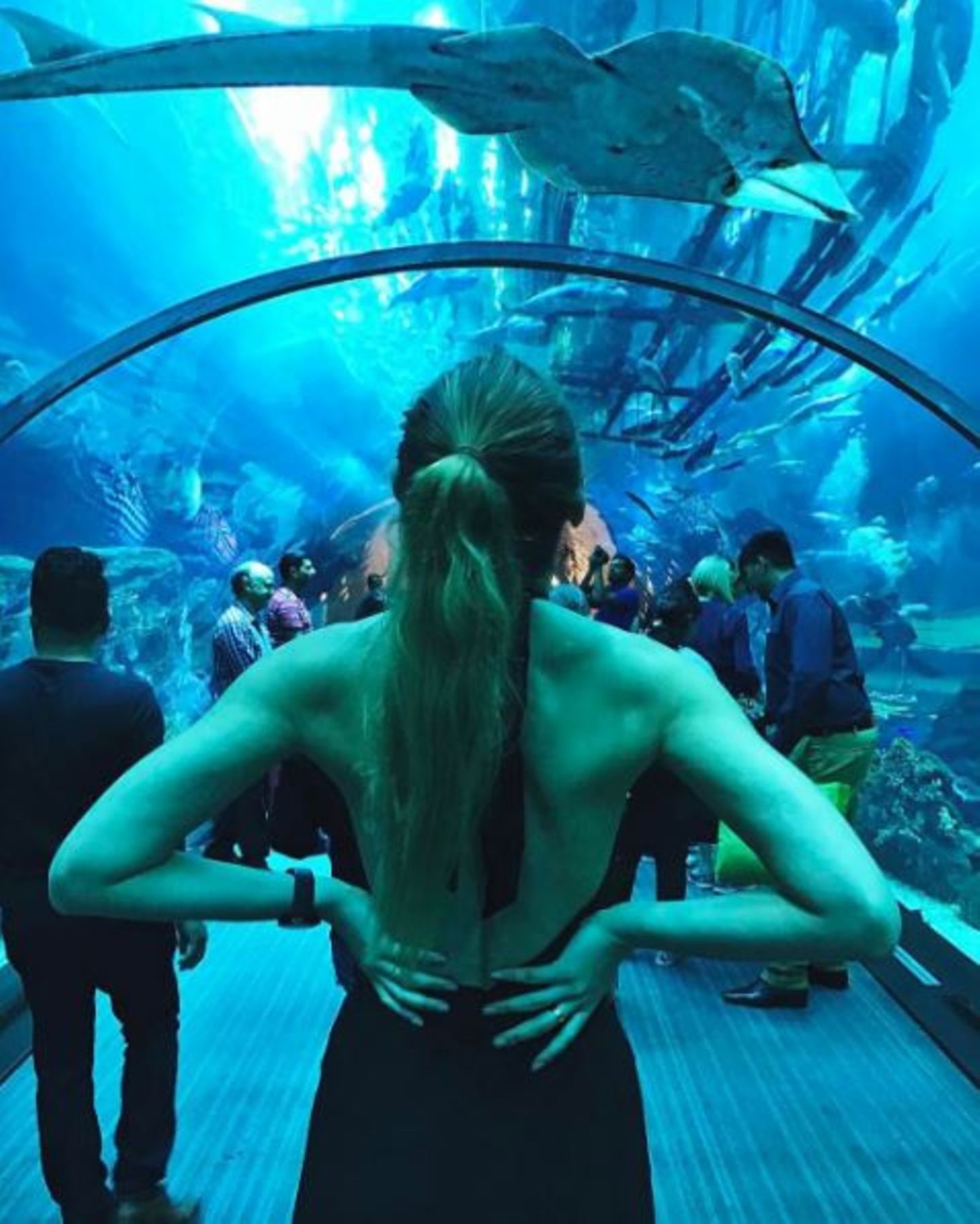 Stefanie Giesinger staunt über die tolle Kulisse in einem Aquarium in Dubai.