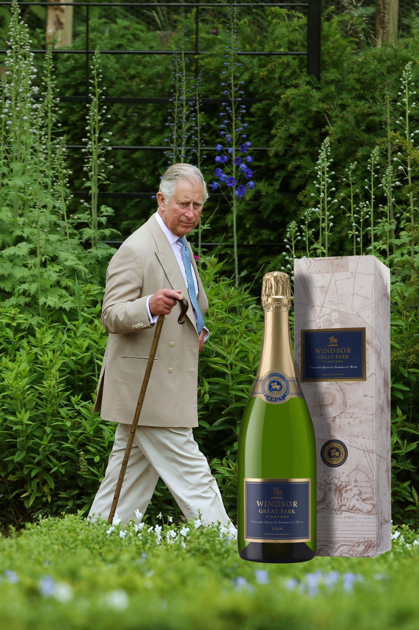 Einmal königlich trinken ist nun möglich. Im "Windsor Great Park" in Sussex hat Queen Elizabeth den Weinanbau gestattet. Unter der Leitung von Prinz Charles werden seit 2013 kleine Editionen zum Verkauf angeboten. 