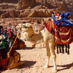 Jordanien  Eine romantische Heißluftballonfahrt, ein Ritt auf Kamelen und ein Abendessen in der Wüste - das bot Christian Tews in der 4. Staffel "seiner" Susi beim Dream-Date in Jordanien.  Wer es abenteuerlustig mag, dem empfiehlt der Reise-Experte "Travelcircus" einen Abstecher in die Wadi Mudschib, eine Schlucht östlich des Toten Meeres, die dem Grand Canyon ähnelt.