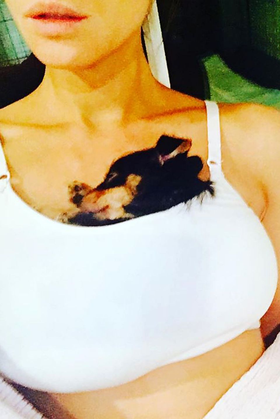 9. Februar 2017 Kate Beckinsale hat ein ganz besonderes Körbchen für ihren Hund. Sie trägt ihn ganz dicht am Herzen in ihrem Top. 9. Februar 2017 Kate Beckinsale hat ein ganz besonderes Körbchen für ihren Hund. Sie trägt ihn ganz dicht am Herzen in ihrem Top.