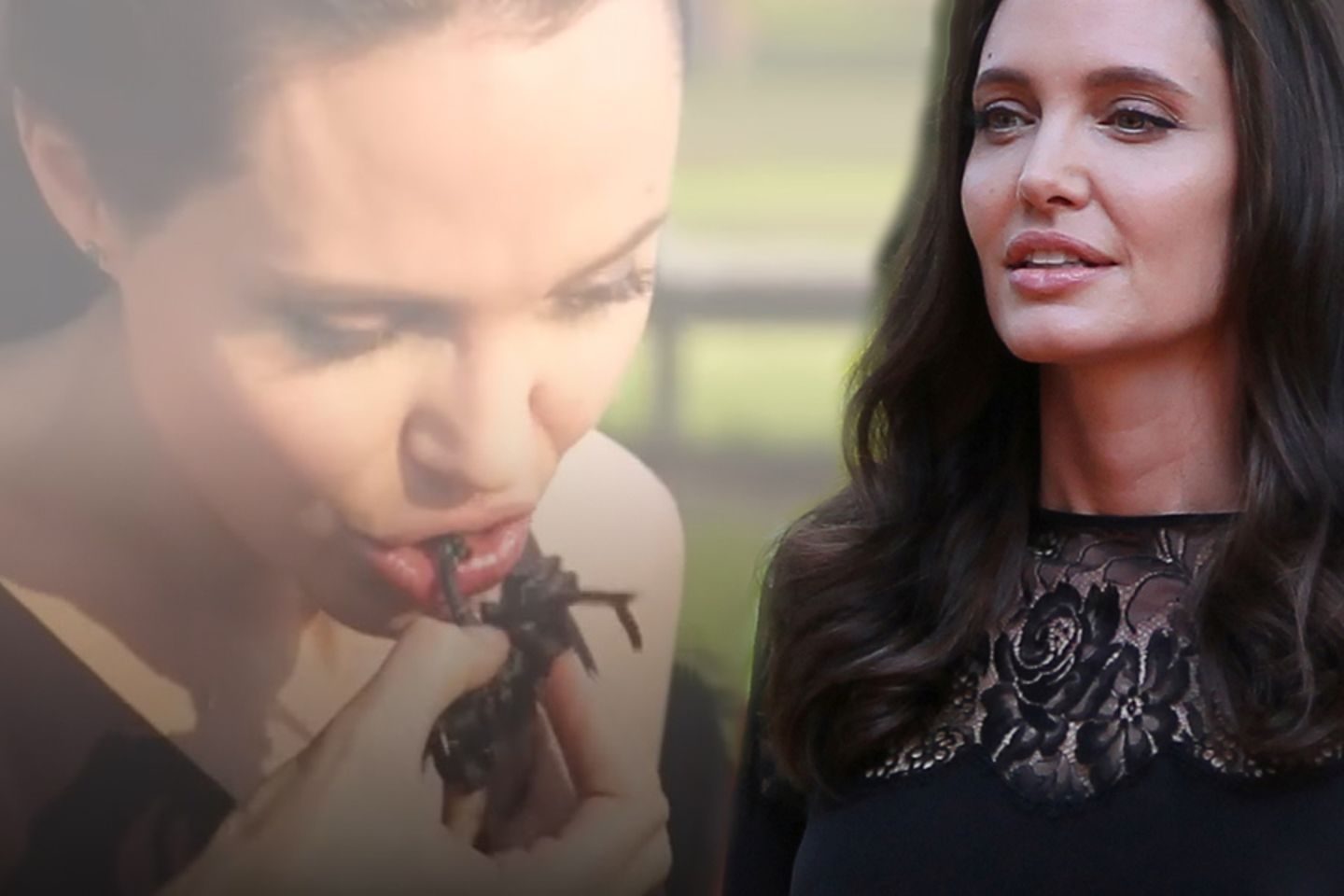 Angelina Jolie