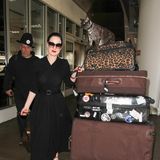 Stilvoll und mit ungewöhnlicher Begleitung wird Burlesquetänzerin Dita von Teese in Los Angeles gesichtet. Auf ihren vielen Koffern sitzt ihre Katze Aleister. Sie ist dafür bekannt, ihre Schmusekatze mitzunehmen. 