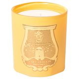 Zitrone und Lavendel, so riecht es am Mittelmeer: "Cyrnos" von Cire Trudon, 270 g, ca. 70 Euro