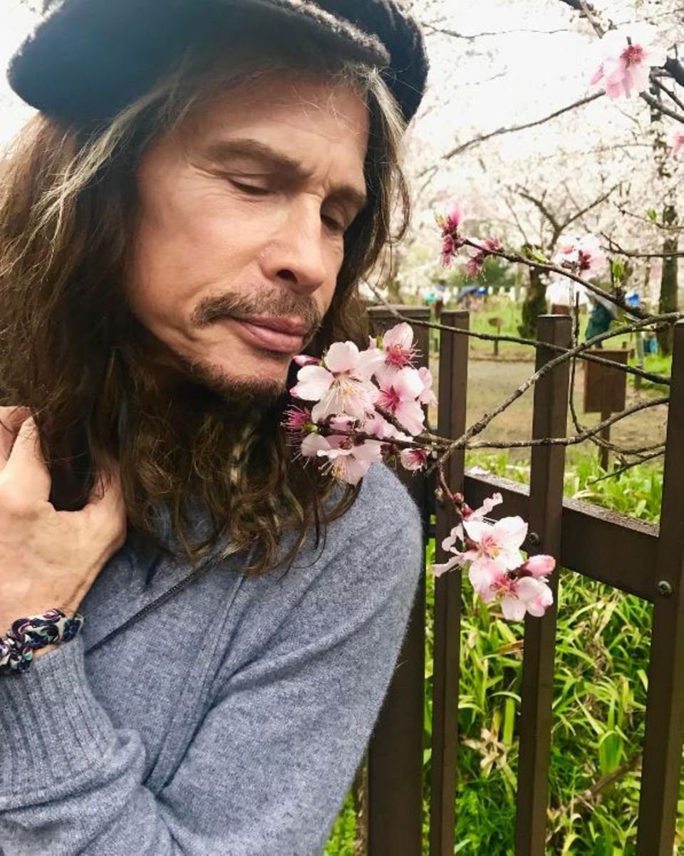8. April 2017 Inspiriert vom Frühling zeigt Steven Tyler seine romantische Seite und offenbart, dass Pink schon immer seine Lieblingsfarbe war. 8. April 2017 Inspiriert vom Frühling zeigt Steven Tyler seine romantische Seite und offenbart, dass Pink schon immer seine Lieblingsfarbe war.
