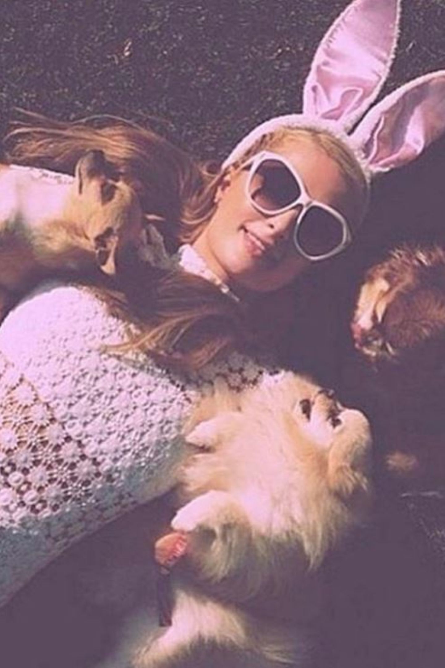 Paris Hilton wünscht mit einem Selfie mit ihren Hunden und rosa Filter fröhliche Ostern.