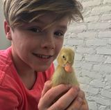 David Beckham teilt ein süßes Foto von seinem Sohn Cruz, der ein kleines Küken hält.