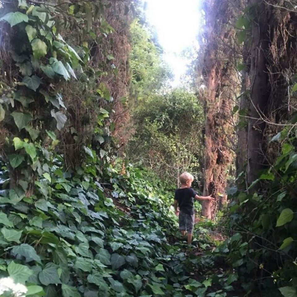 22. April 2017 "Wenn der Planet nicht wichtig für dich ist, denke daran, wem du ihn überlässt" - postet Josh Duhamel zum "Earth Day" und zeigt ein Foto seines Sohnes Axl beim Erforschen der Natur. 22. April 2017 "Wenn der Planet nicht wichtig für dich ist, denke daran, wem du ihn überlässt" - postet Josh Duhamel zum "Earth Day" und zeigt ein Foto seines Sohnes Axl beim Erforschen der Natur.