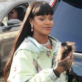 Nein, Rihanna führt hier nicht ihr Langhaar-Meerschwein aus. Sie hat ihr Smartphone jedoch als flauschiges Haustier getarnt. Günstig ist das nicht unbedingt: Ganze 310 Euro hat die Sängerin für das Exemplar von "Yggy" bezahlt.