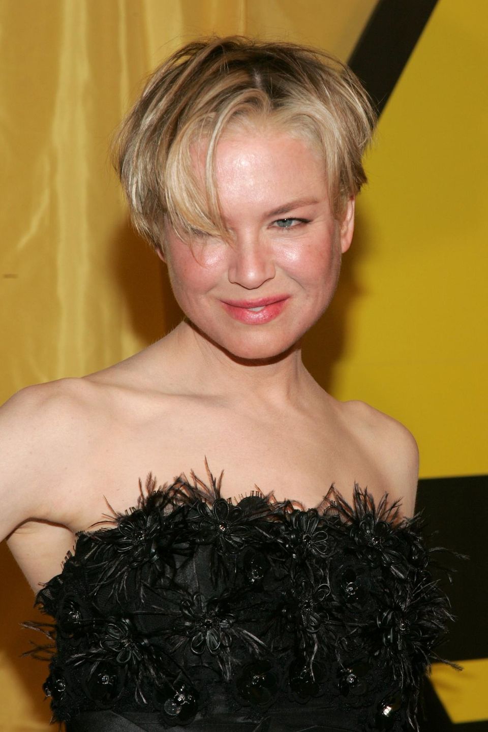 2007: Gerötete Haut, aufgedunsene Gesichtszüge - Renée Zellweger kann aus ihren kosmetischen Eingriffen kein Geheimnis mehr machen. Mit dem "Facial Sandblasting" versucht sie ihr jugendliches Aussehen aufrecht zu erhalten. 2007: Gerötete Haut, aufgedunsene Gesichtszüge - Renée Zellweger kann aus ihren kosmetischen Eingriffen kein Geheimnis mehr machen. Mit dem "Facial Sandblasting" versucht sie ihr jugendliches Aussehen aufrecht zu erhalten.